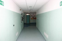 Immagine Galleria