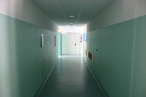 Immagine Galleria